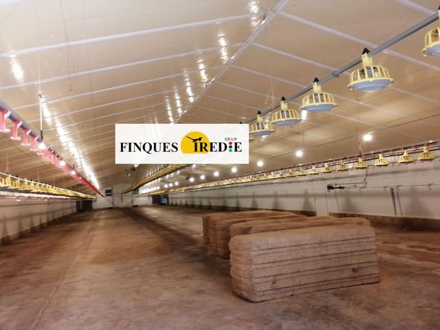 Bedrift til salgs i L'Ampolla - € 800 000 (Ref: 9488902)