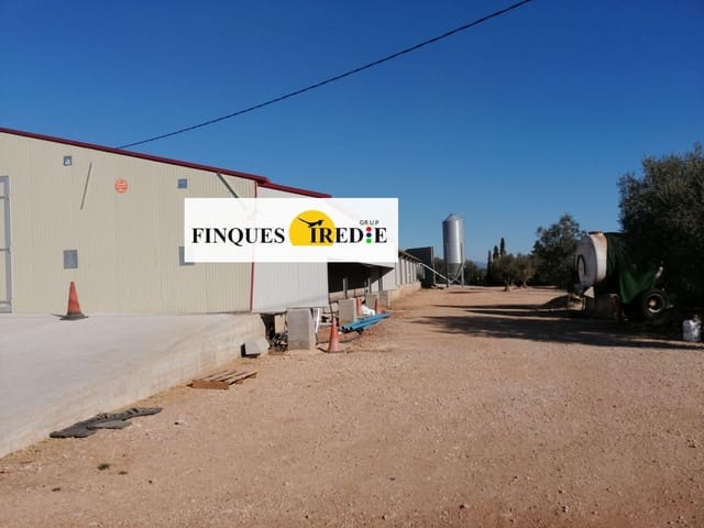 Bedrift til salgs i L'Ampolla - € 800 000 (Ref: 9488902)