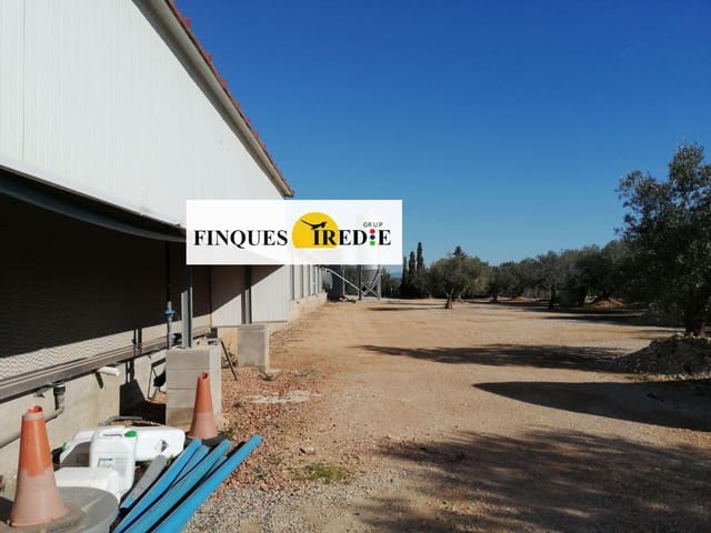 Bedrift til salgs i L'Ampolla - € 800 000 (Ref: 9488902)