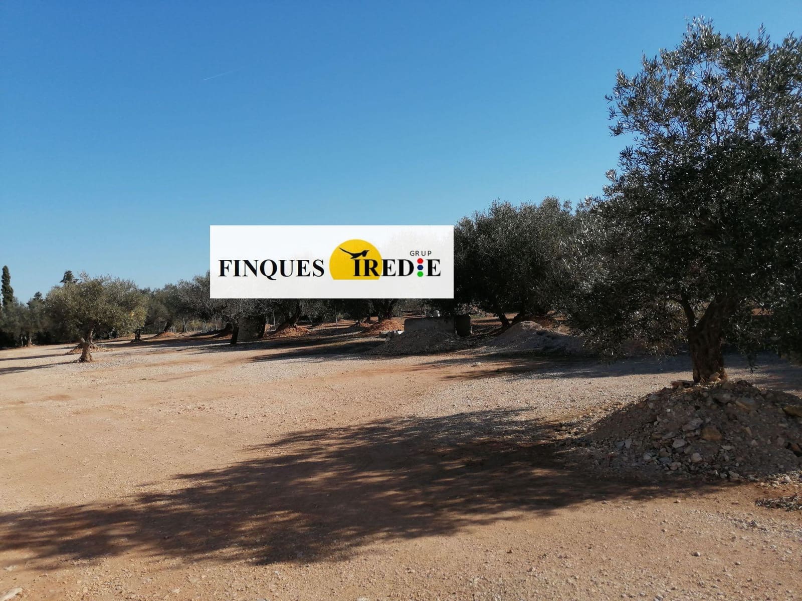 Bedrift til salgs i L'Ampolla - € 800 000 (Ref: 9488902)