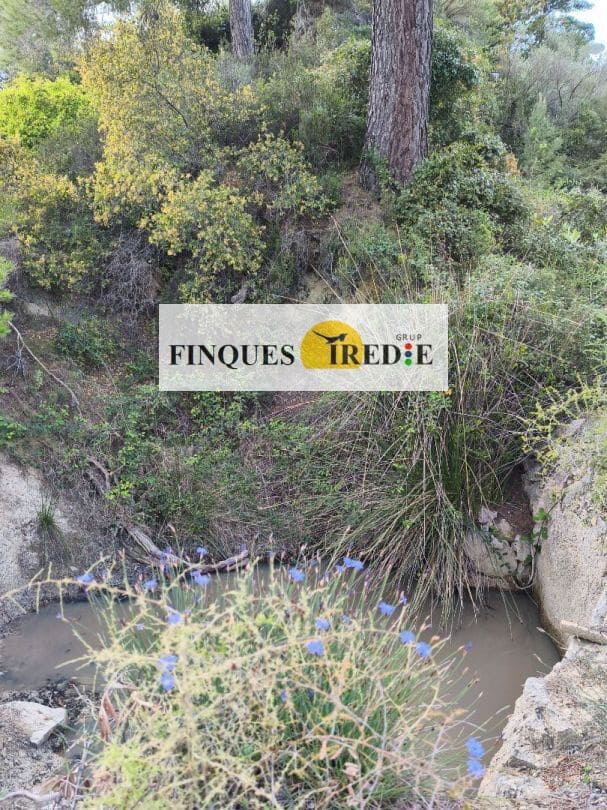 Finca/Country House for sale in Alfara de Carles - € 125,000 (Ref: 9488912)