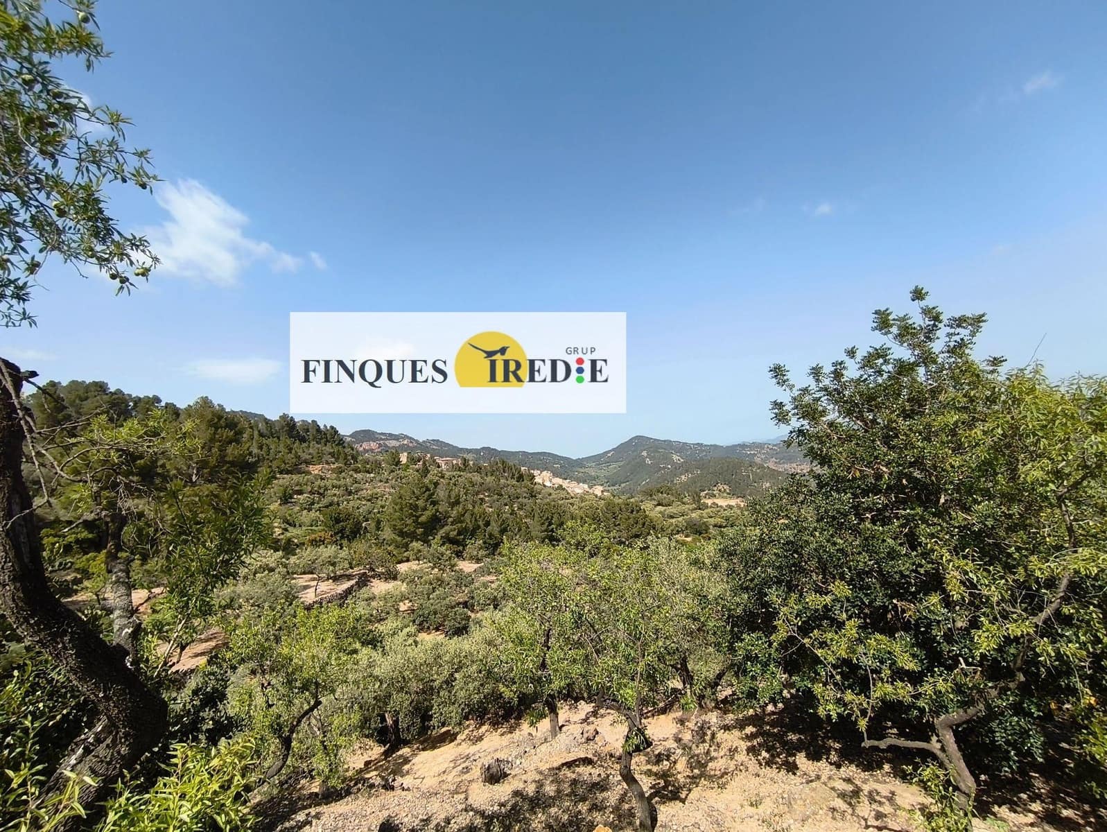 Finca/Country House for sale in Alfara de Carles - € 125,000 (Ref: 9488912)