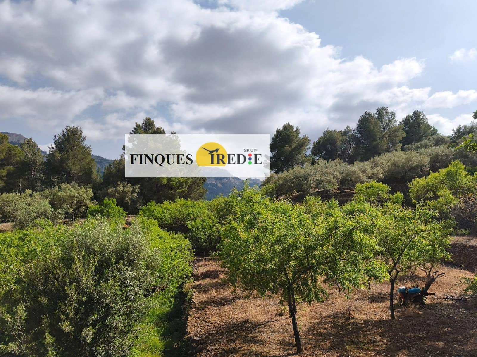 Finca/Country House for sale in Alfara de Carles - € 125,000 (Ref: 9488912)