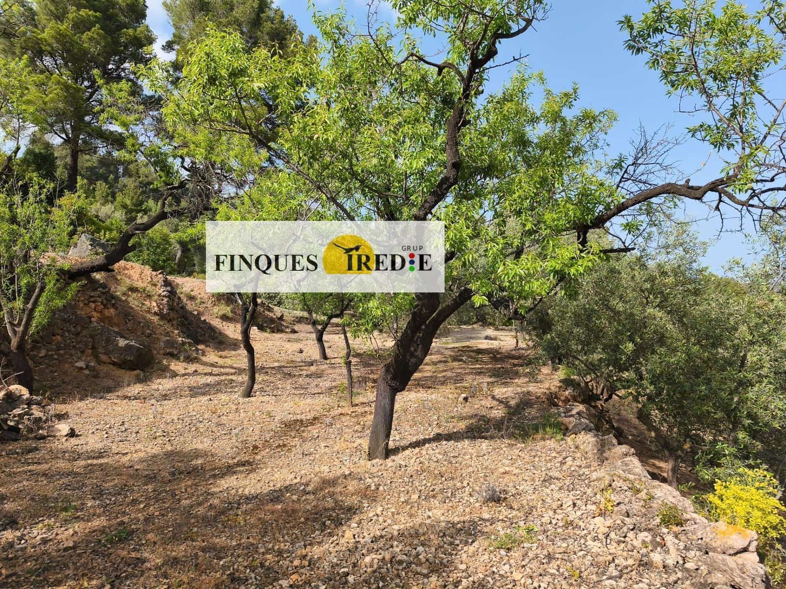 Finca/Country House for sale in Alfara de Carles - € 125,000 (Ref: 9488912)