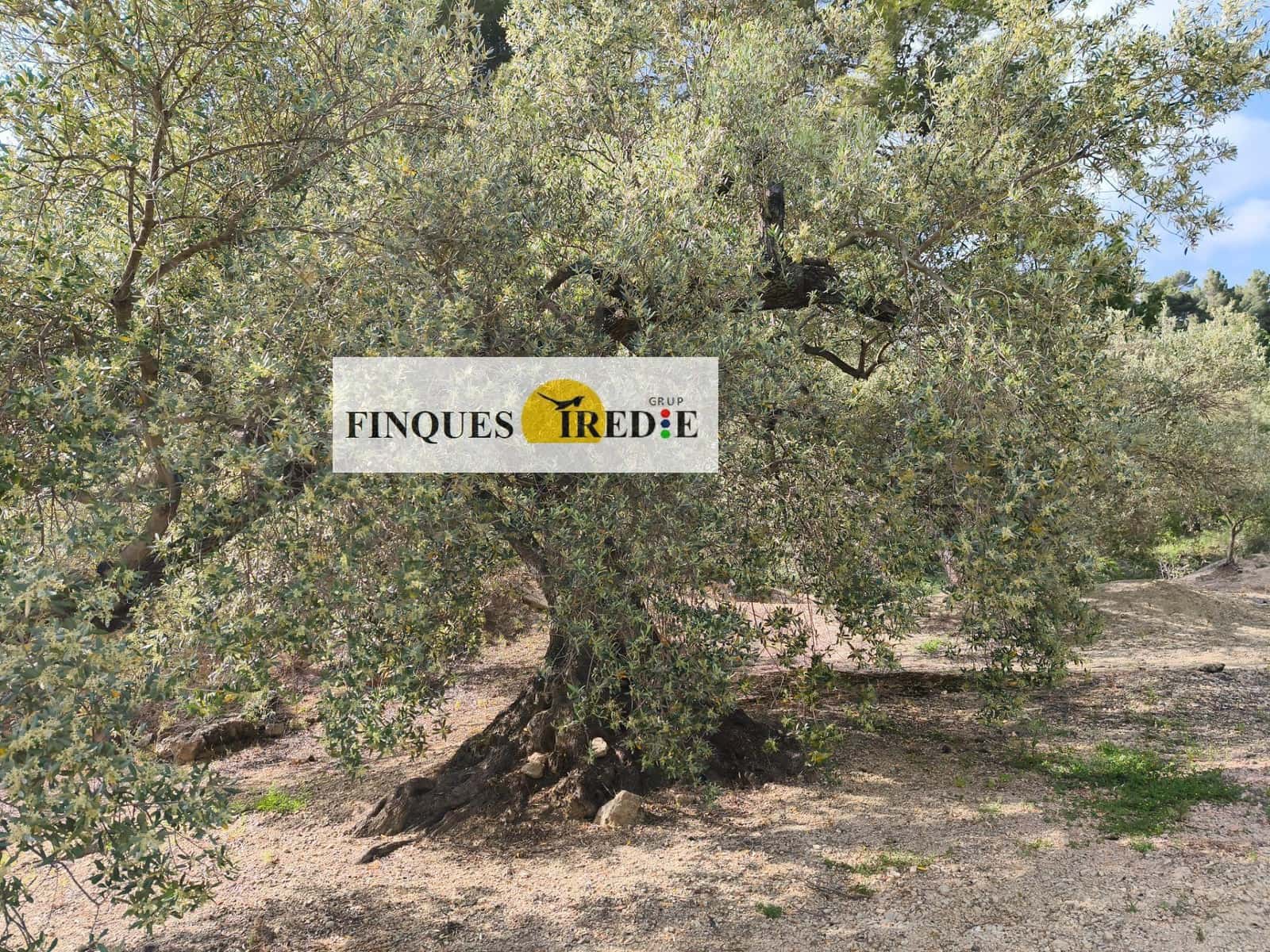 Finca/Country House for sale in Alfara de Carles - € 125,000 (Ref: 9488912)