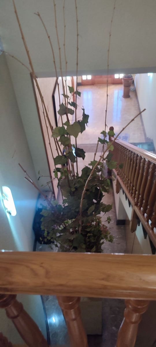 4 makuuhuone Omakotitalo myytävänä paikassa Tortosa mukana 
autotalli - 243 850 € (Ref: 9488913)