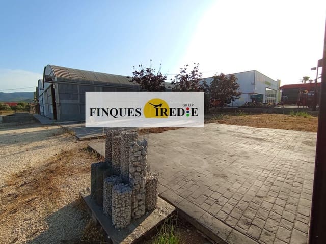 Terreno Non Edificato in vendita in Amposta - 220.000 € (Rif: 9488917)