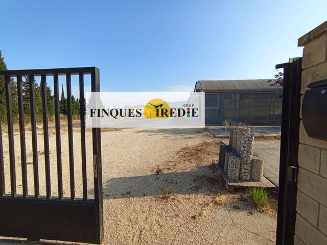 Terreno Non Edificato in vendita in Amposta - 220.000 € (Rif: 9488917)