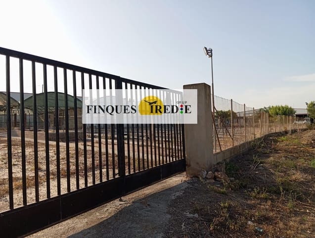 Terreno Non Edificato in vendita in Amposta - 220.000 € (Rif: 9488917)