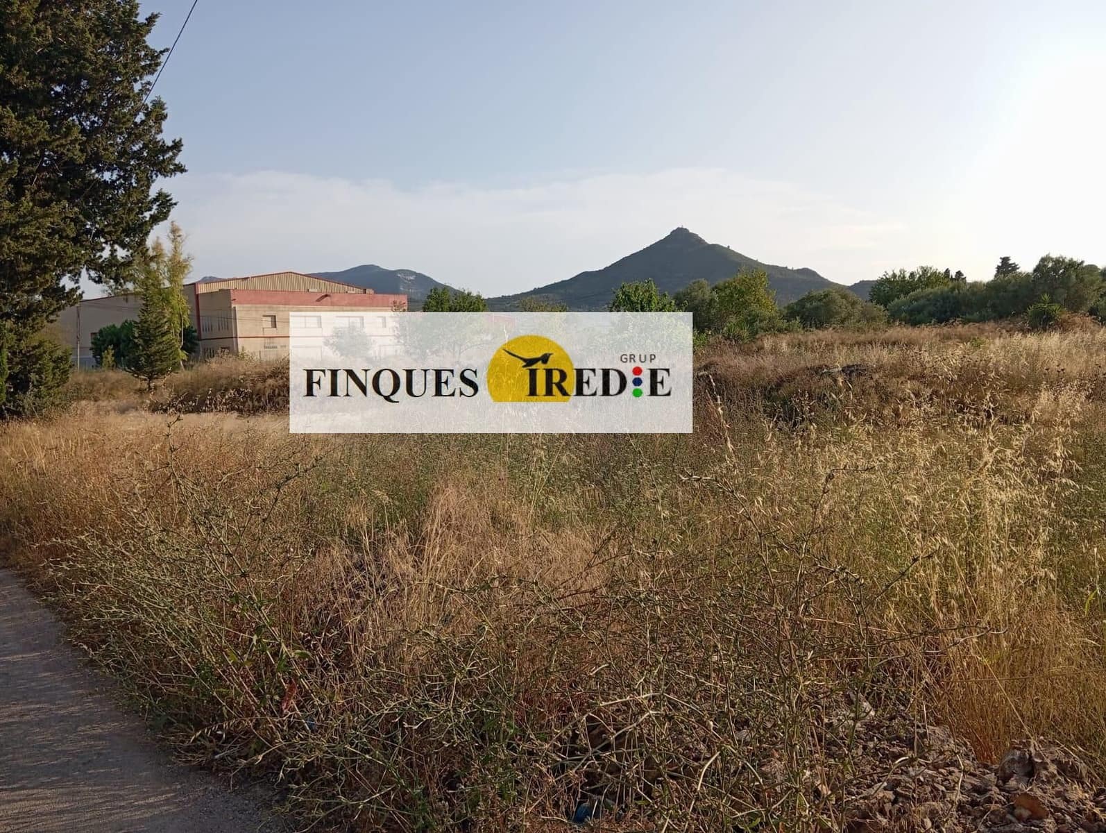 Undeveloped Land for sale in Amposta - € 220,000 (Ref: 9488917)