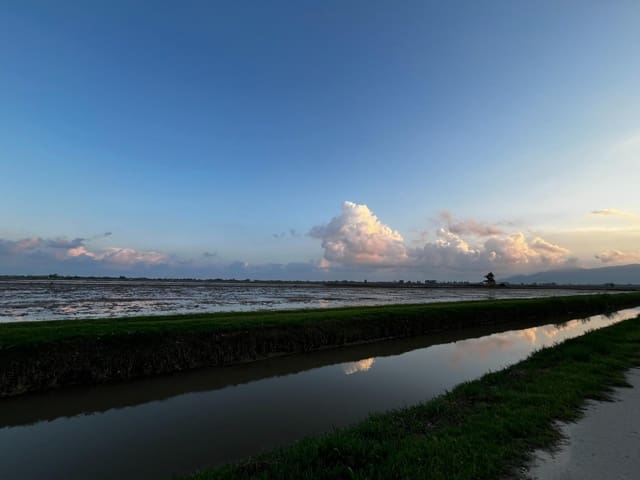 Landgrundstück zu verkaufen in L'Aldea - 350.000 € (Ref: 9488921)