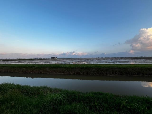 Landgrundstück zu verkaufen in L'Aldea - 350.000 € (Ref: 9488921)