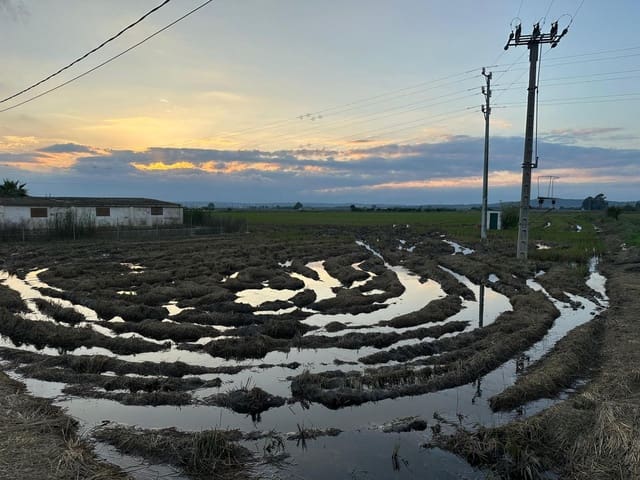 Landgrundstück zu verkaufen in L'Aldea - 350.000 € (Ref: 9488921)