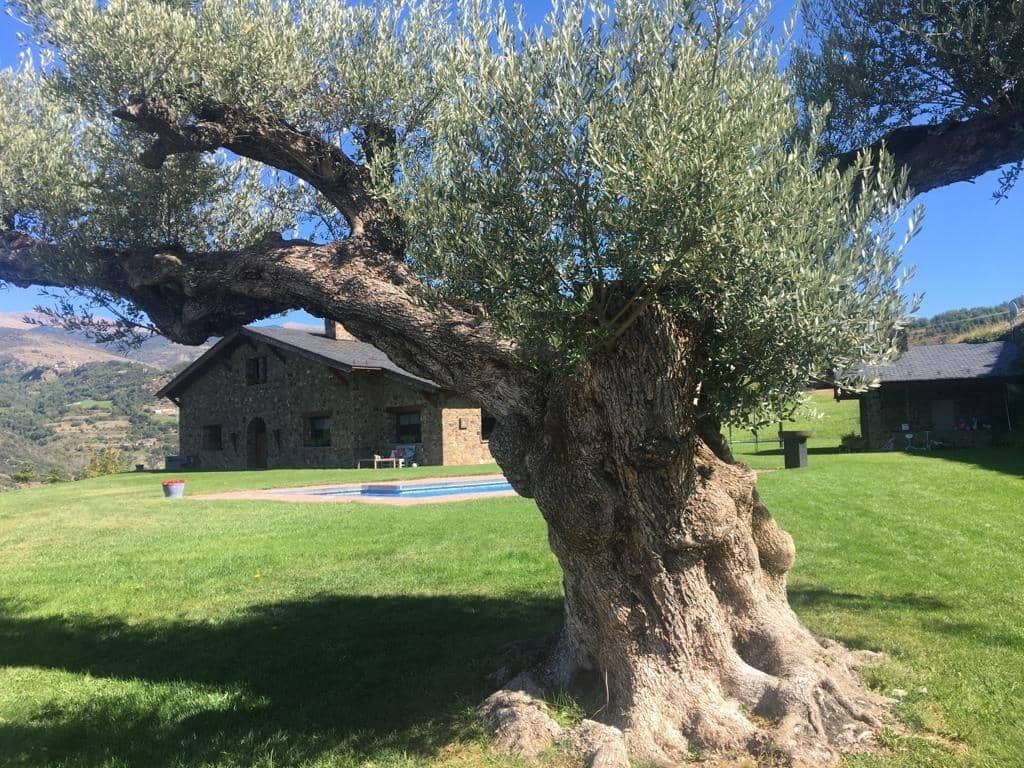 5 slaapkamer Finca/Landhuis te koop in Alas i Cerc - € 1.500.000 (Ref: 9488927)