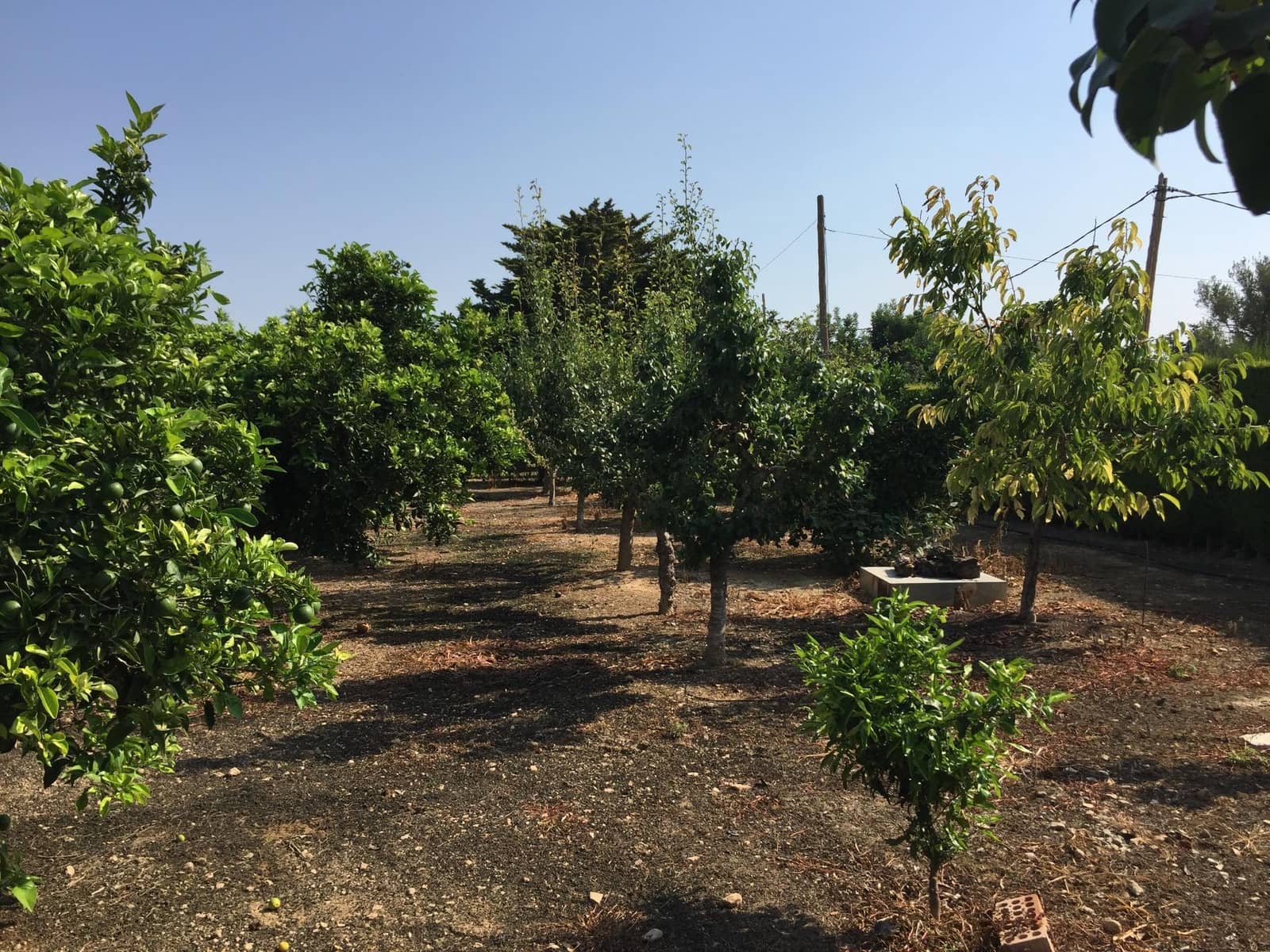 Chalet de 3 habitaciones en Roquetes en venta con piscina garaje - 465.000 € (Ref: 9488928)