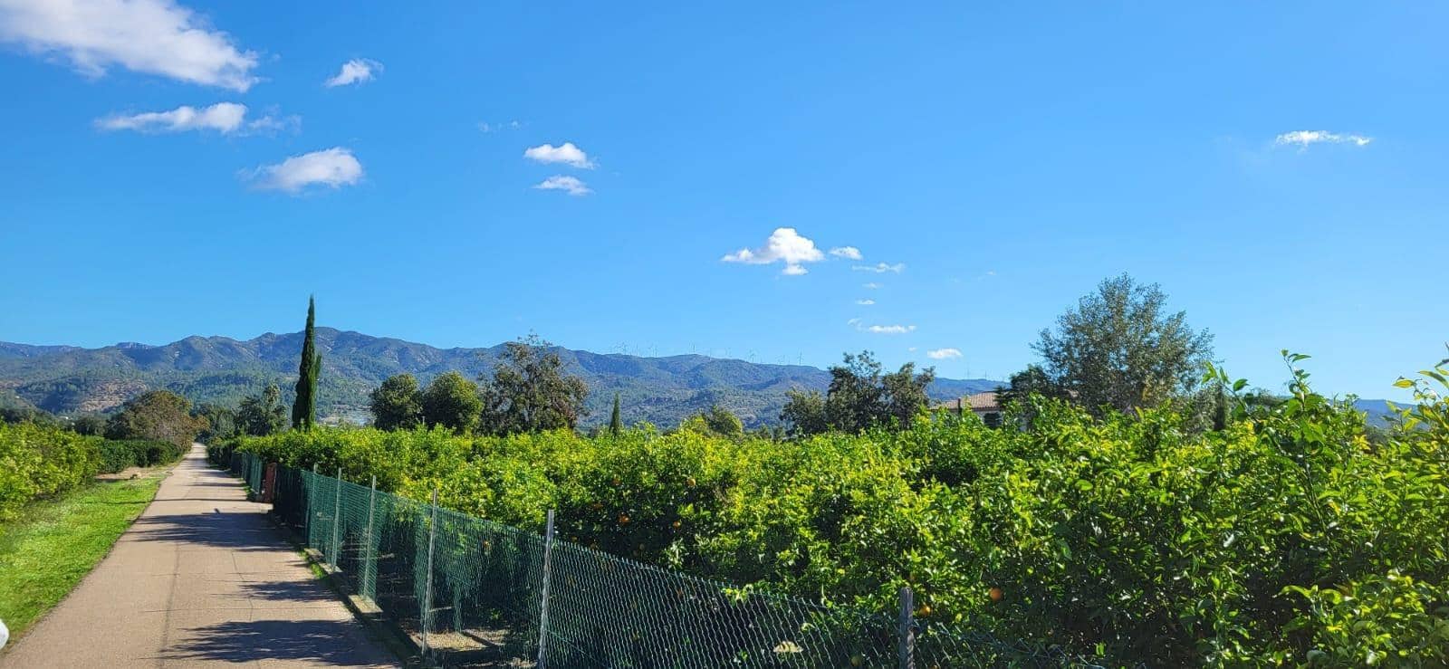 2 bedroom Finca/Country House for sale in Bitem with pool garage - € 315,000 (Ref: 9488929)