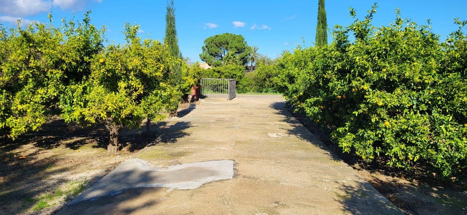 2 bedroom Finca/Country House for sale in Bitem with pool garage - € 315,000 (Ref: 9488929)