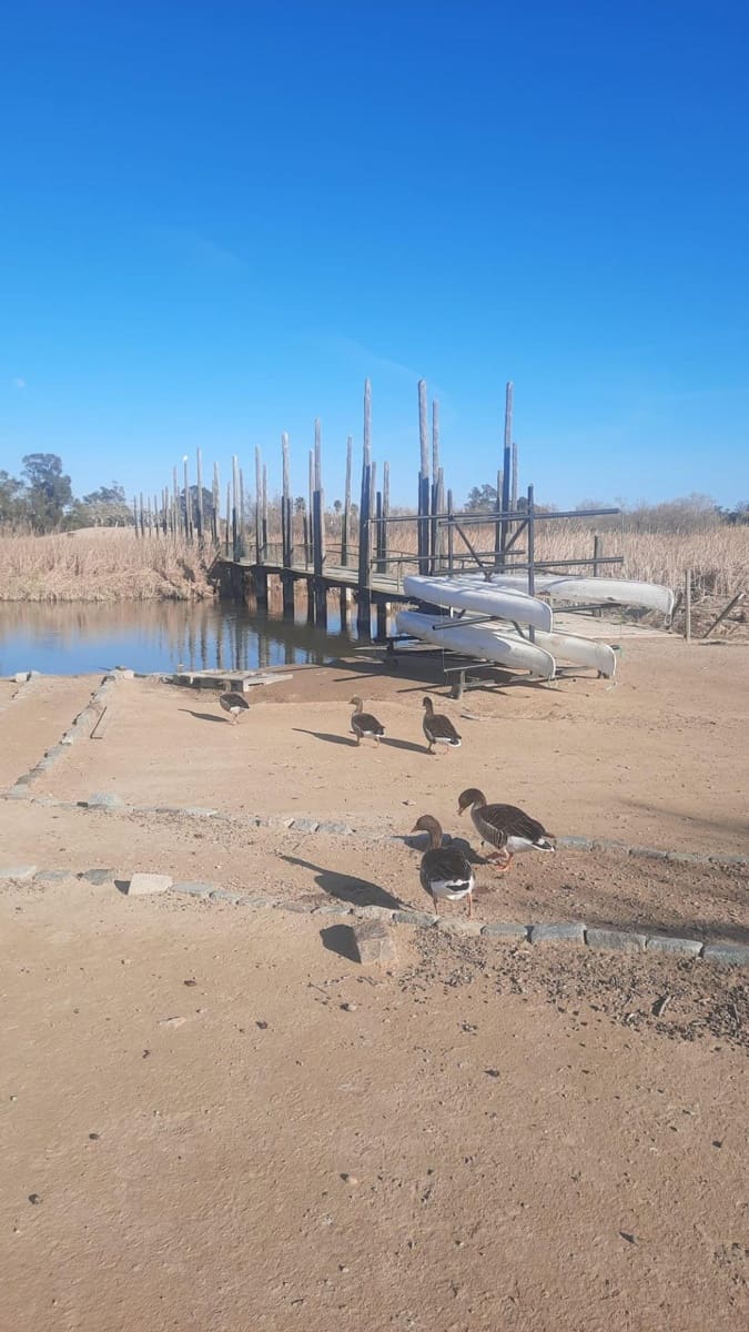 3 makuuhuone Maalaistalo myytävänä paikassa Deltebre mukana 
autotalli - 900 000 € (Ref: 9488934)