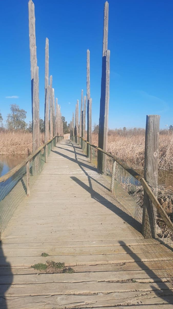 3 makuuhuone Maalaistalo myytävänä paikassa Deltebre mukana 
autotalli - 900 000 € (Ref: 9488934)