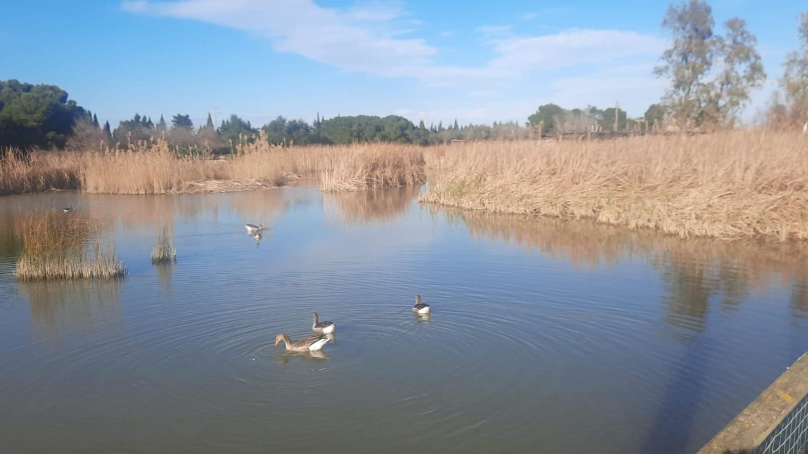 3 makuuhuone Maalaistalo myytävänä paikassa Deltebre mukana 
autotalli - 900 000 € (Ref: 9488934)