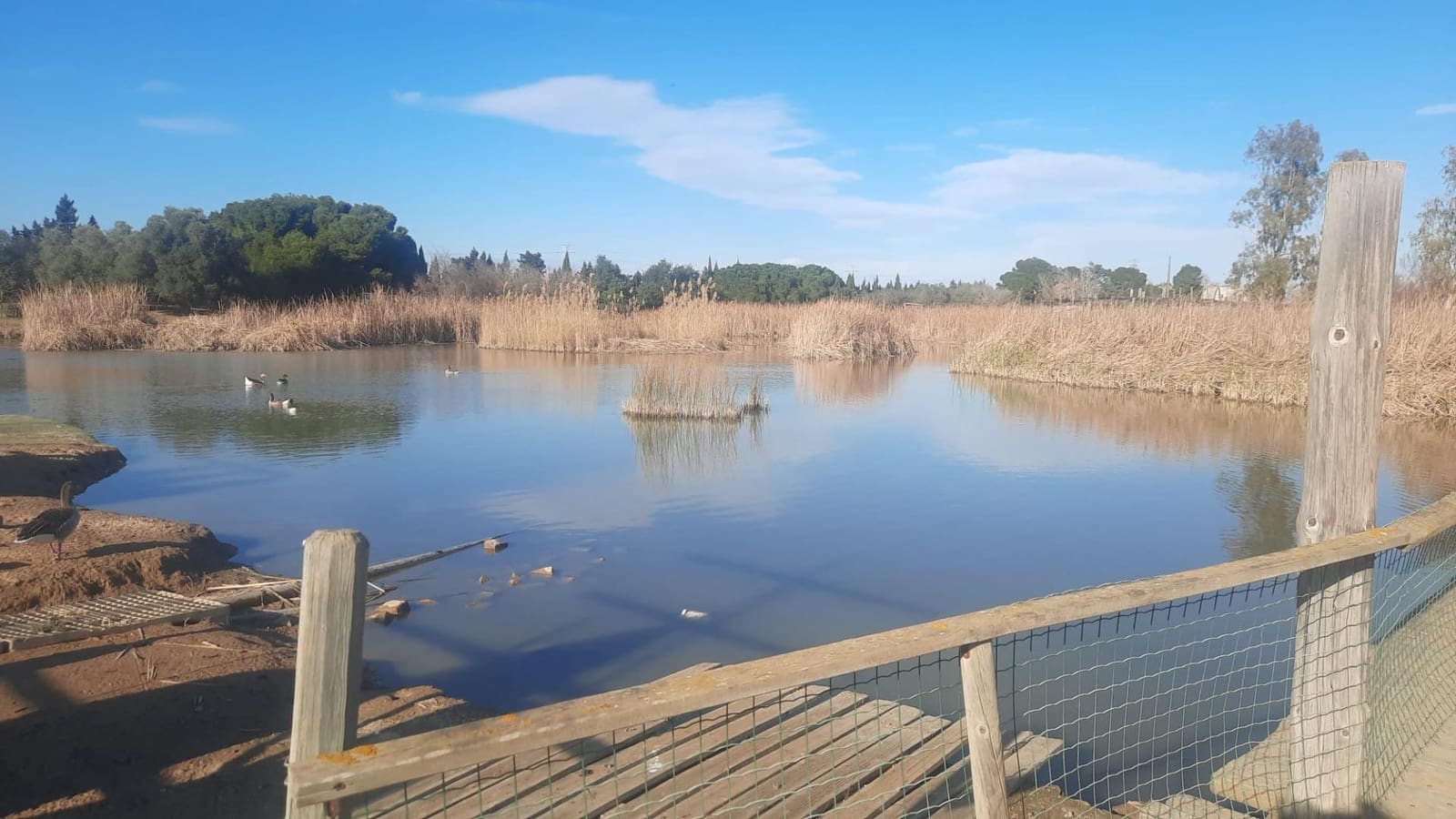 3 makuuhuone Maalaistalo myytävänä paikassa Deltebre mukana 
autotalli - 900 000 € (Ref: 9488934)