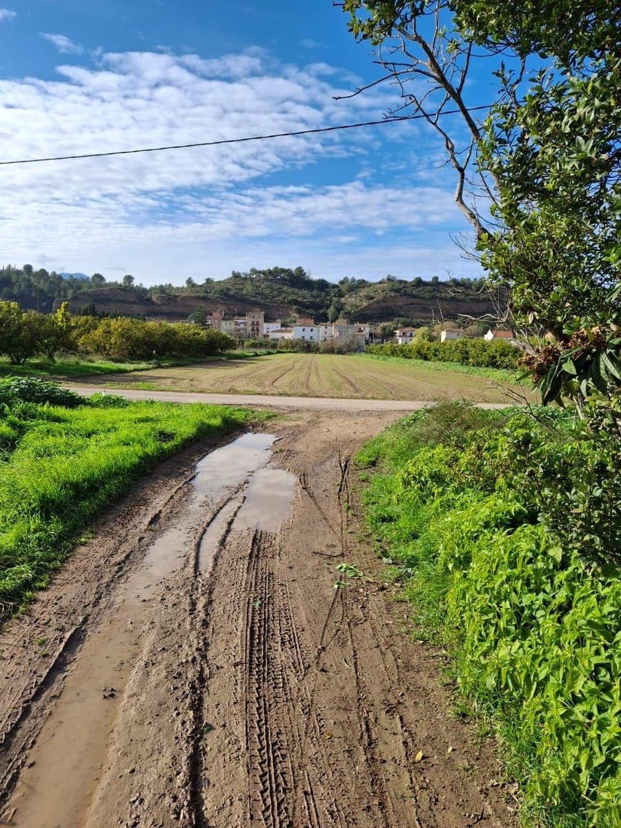 Grunde uden byggetilladelser til salg i Aldover - € 35.000 (Ref: 9565461)