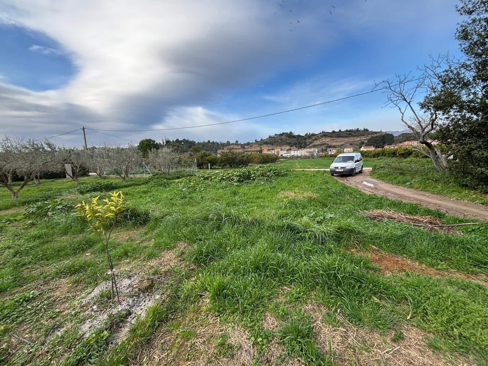 Grunde uden byggetilladelser til salg i Aldover - € 35.000 (Ref: 9565461)