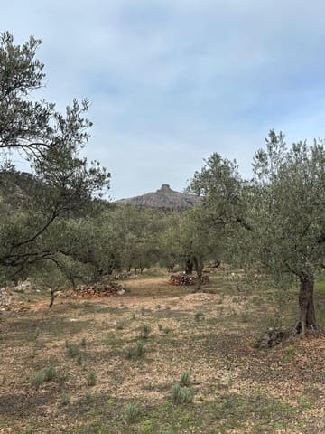 Ubebygd land til salgs i Xerta - € 39 000 (Ref: 9565463)