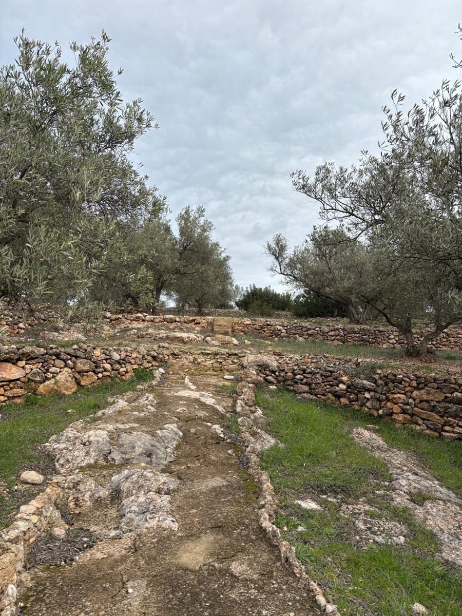 Grond te koop in Xerta - € 39.000 (Ref: 9565463)