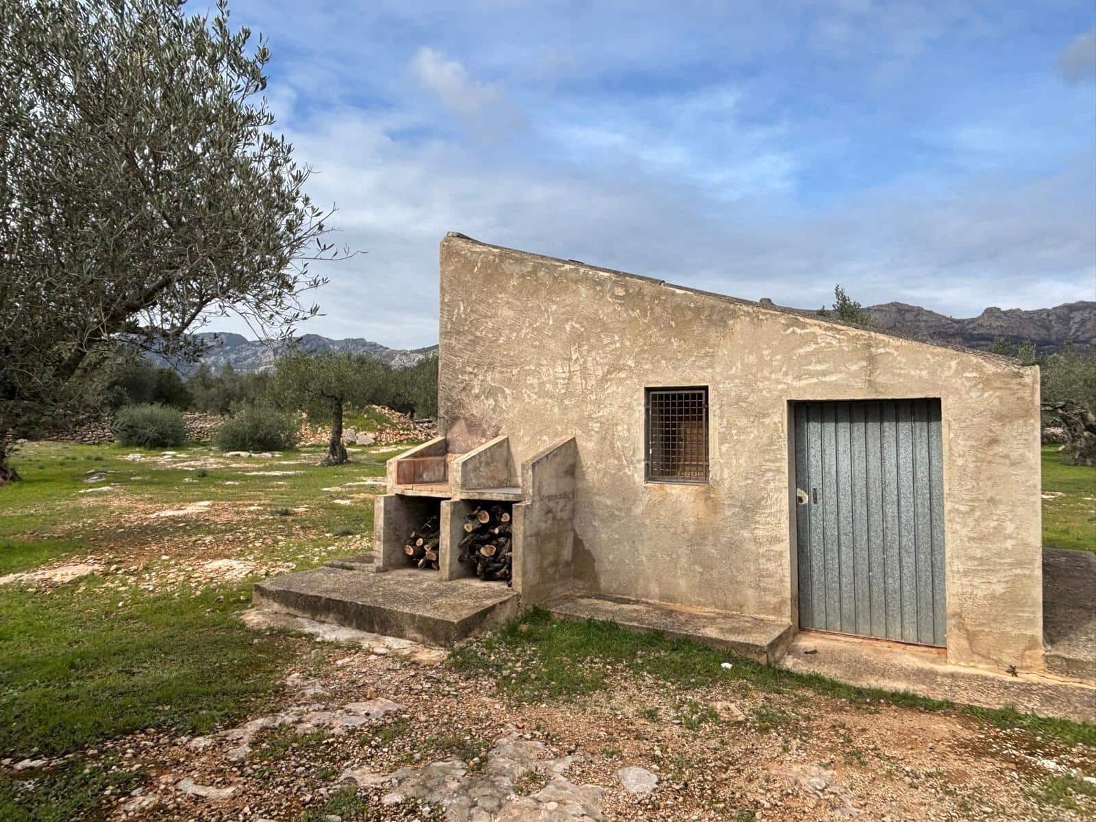 Terreno Non Edificato in vendita in Xerta - 24.000 € (Rif: 9565464)