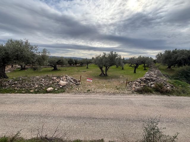 Terreno Non Edificato in vendita in Xerta - 24.000 € (Rif: 9565464)