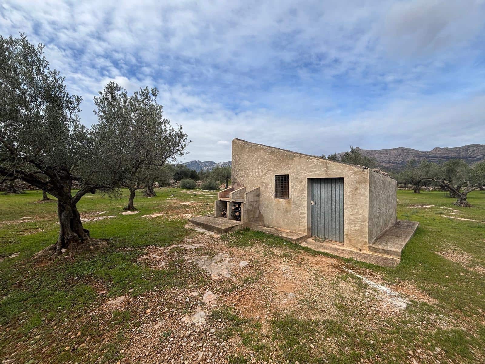 Terreno Non Edificato in vendita in Xerta - 24.000 € (Rif: 9565464)