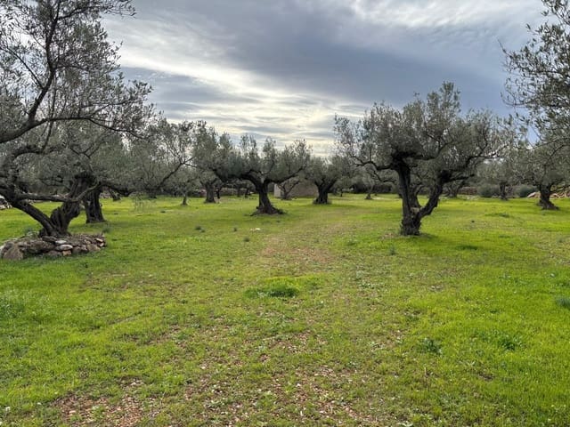 Terreno Non Edificato in vendita in Xerta - 24.000 € (Rif: 9565464)