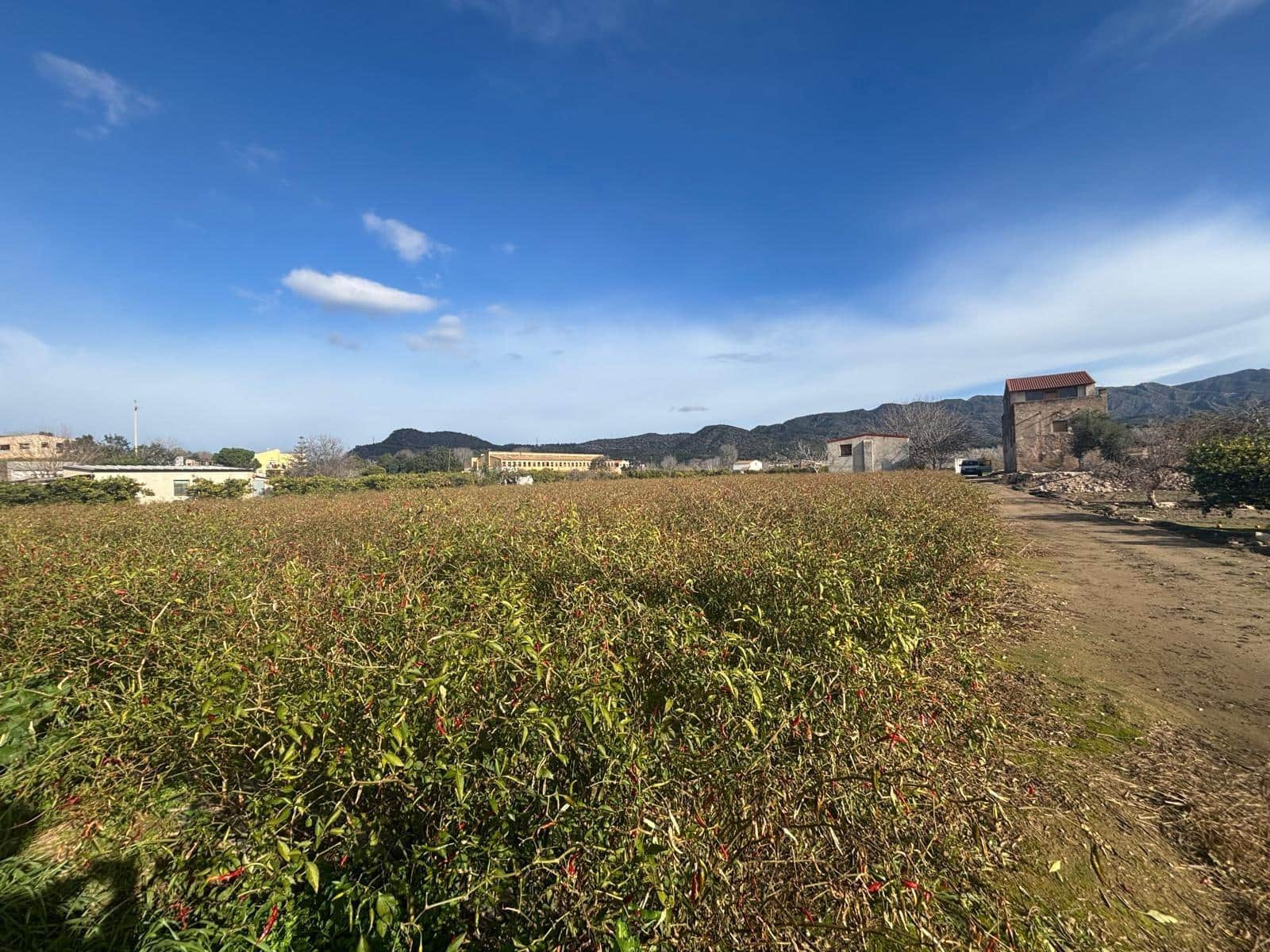 Terreno Não Urbanizado para venda em Xerta - 44 000 € (Ref: 9565465)