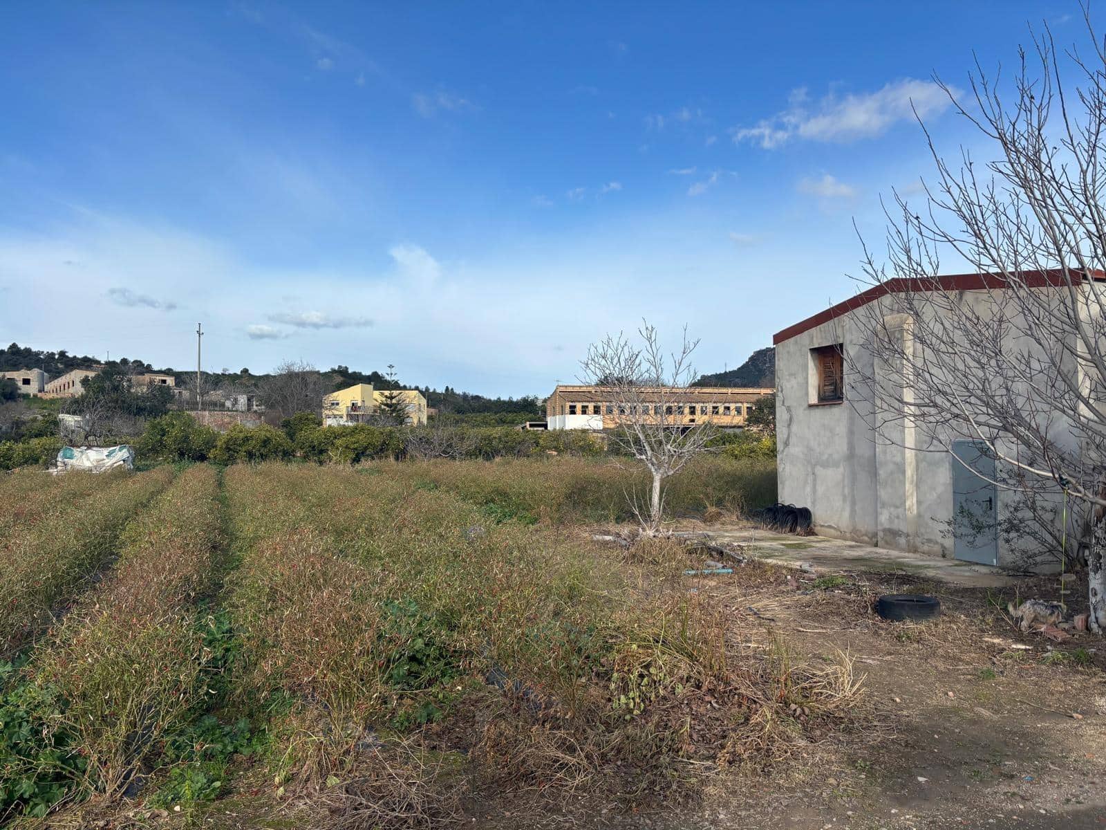 Terreno Não Urbanizado para venda em Xerta - 44 000 € (Ref: 9565465)