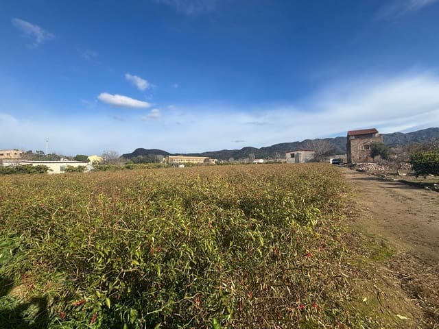 Teren niezagospodarowany na sprzedaż w Xerta - 44 000 € (Ref: 9565465)