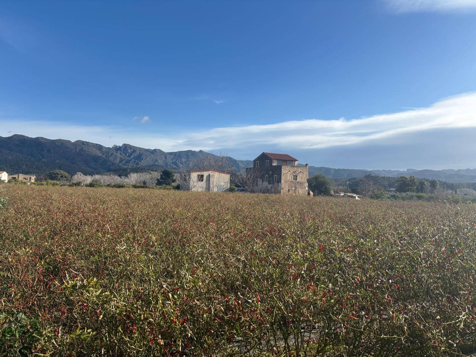 Terreno Não Urbanizado para venda em Xerta - 44 000 € (Ref: 9565465)