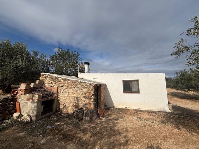 Ubebygd land til salgs i Xerta - € 69 000 (Ref: 9565467)