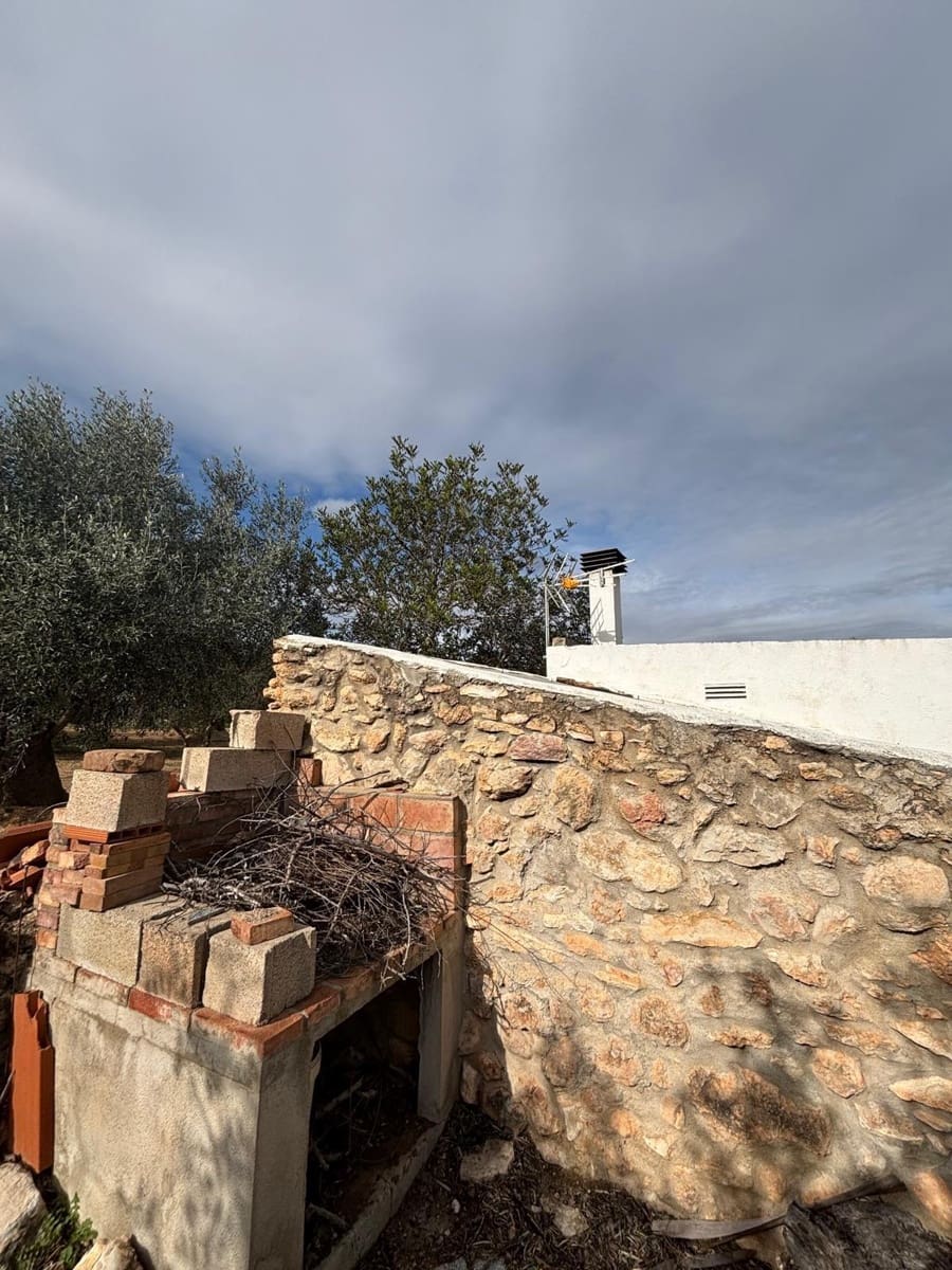 Mark till salu i Xerta - 69 000 € (Ref: 9565467)