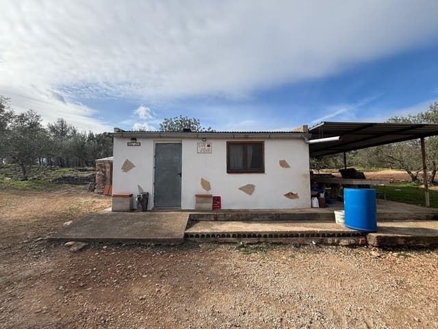 Ubebygd land til salgs i Xerta - € 69 000 (Ref: 9565467)