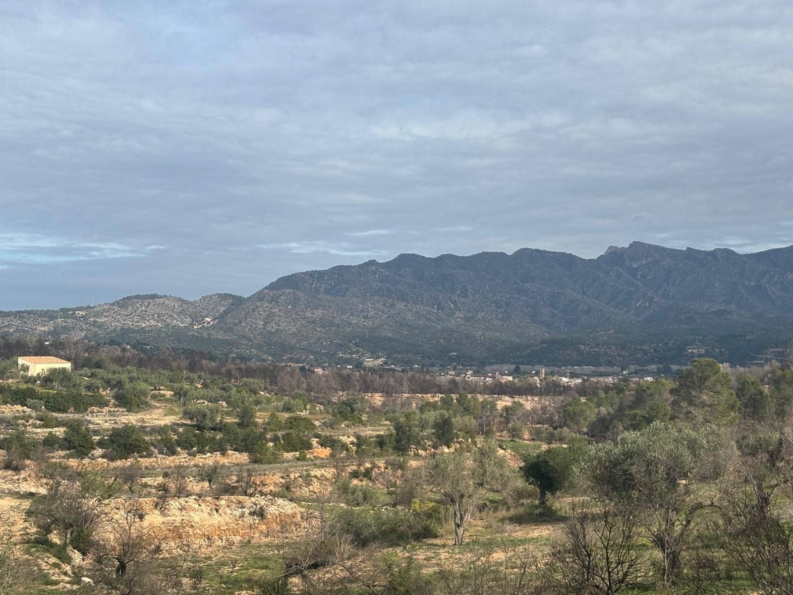 Mark till salu i Xerta - 69 000 € (Ref: 9565467)