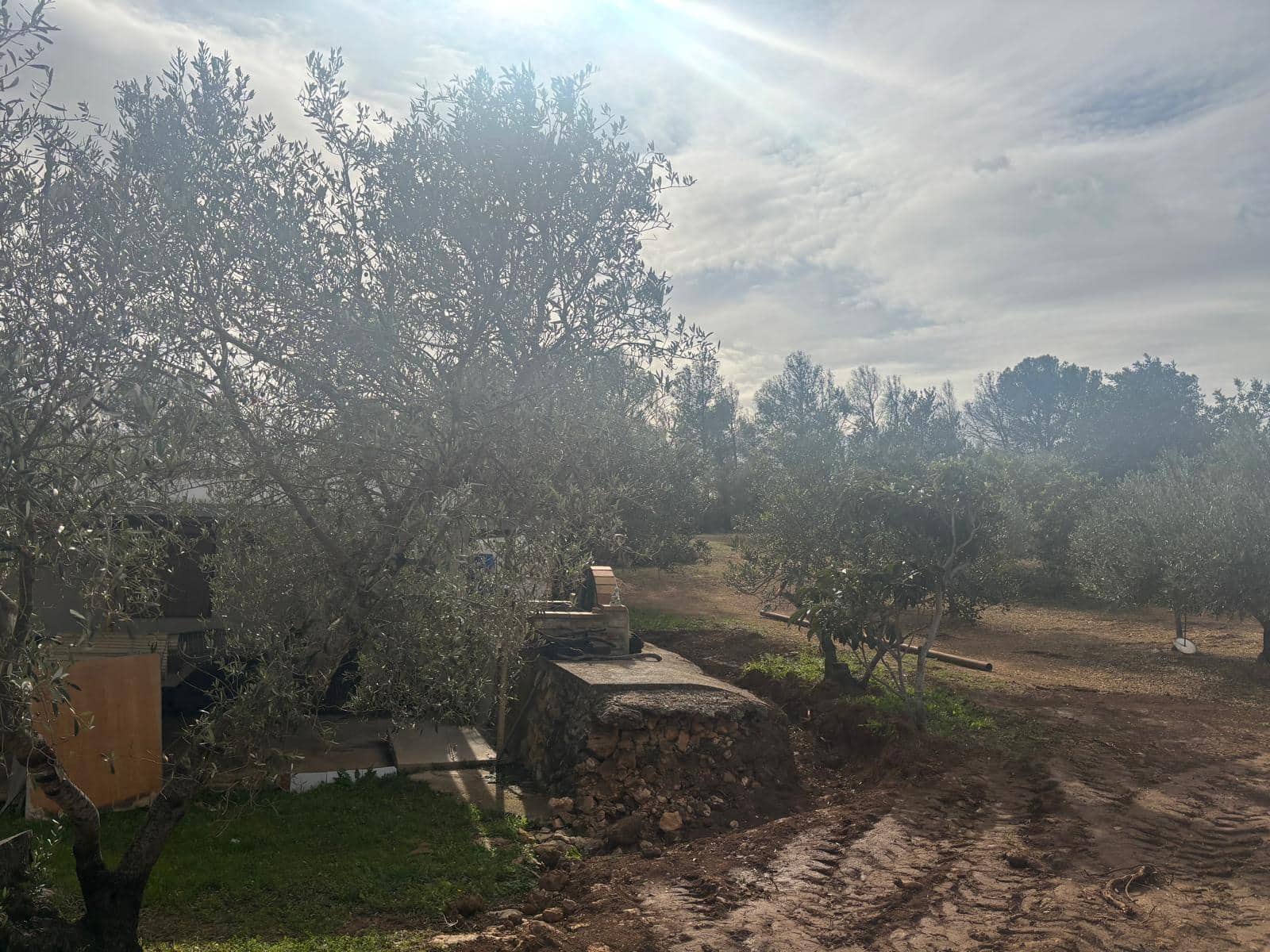 Mark till salu i Xerta - 69 000 € (Ref: 9565467)