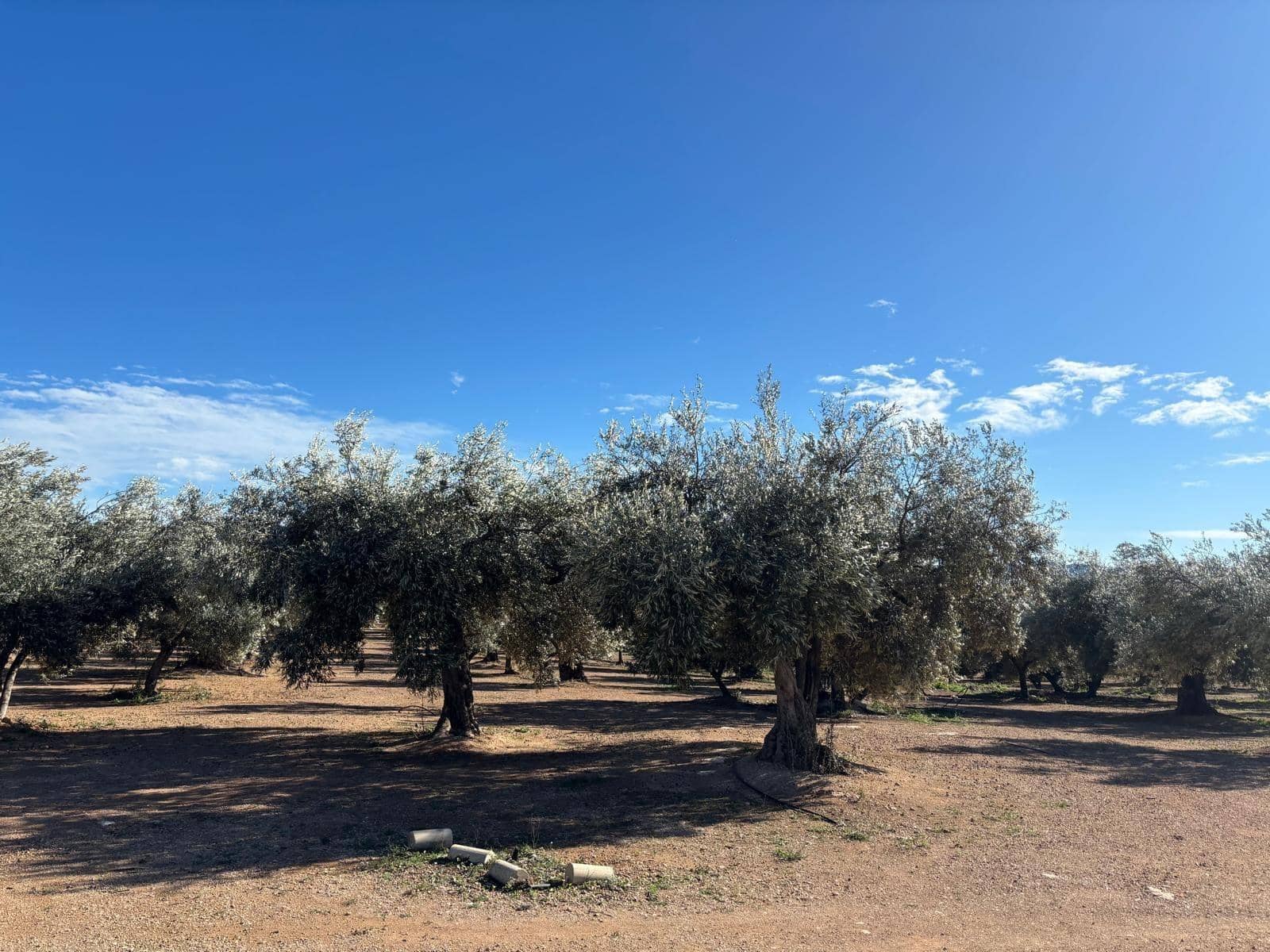 1 soveværelse Finca/Landehus til salg i Xerta - € 300.000 (Ref: 9571401)