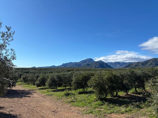 1 soveværelse Finca/Landehus til salg i Xerta - € 300.000 (Ref: 9571401)