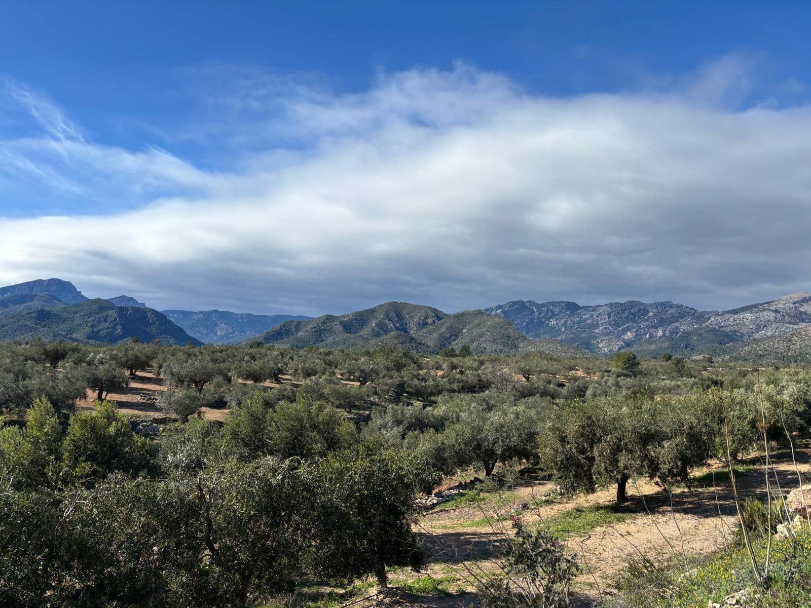 1 soveværelse Finca/Landehus til salg i Xerta - € 300.000 (Ref: 9571401)