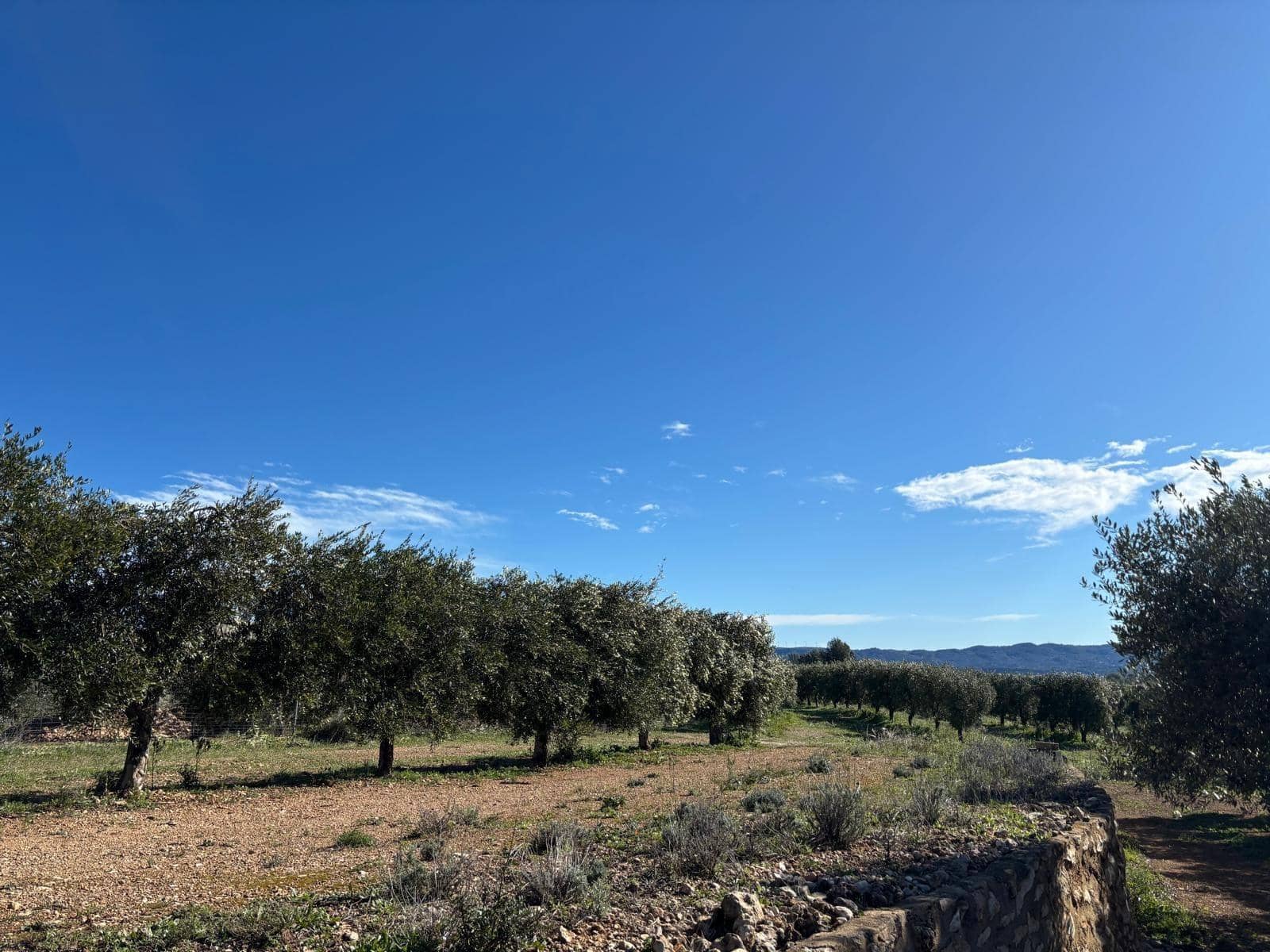 1 soveværelse Finca/Landehus til salg i Xerta - € 300.000 (Ref: 9571401)