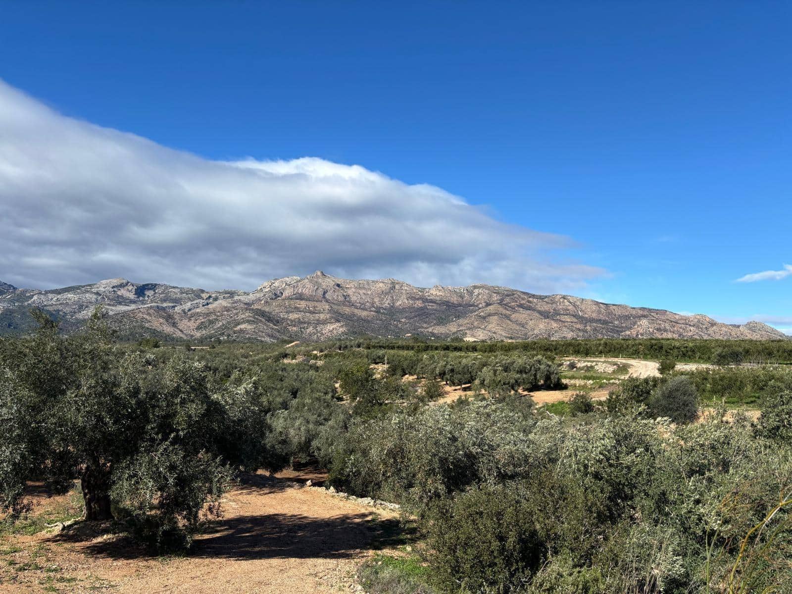 1 soveværelse Finca/Landehus til salg i Xerta - € 300.000 (Ref: 9571401)