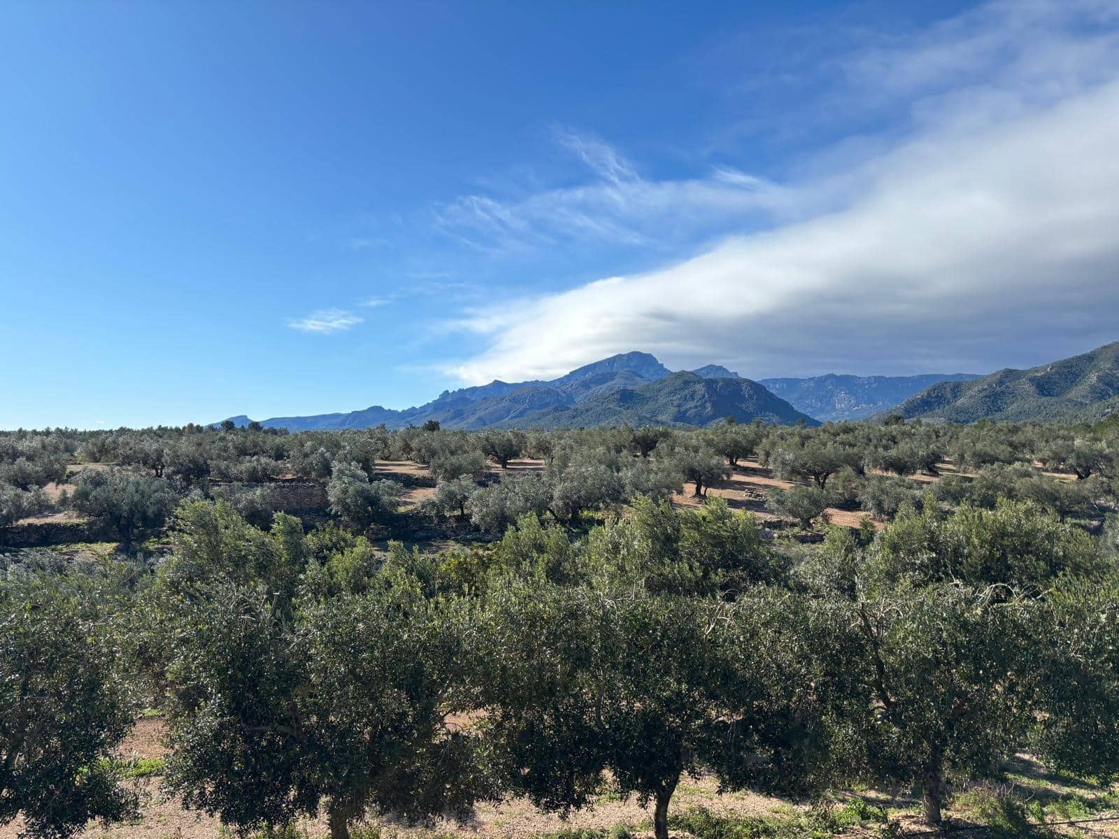 1 soveværelse Finca/Landehus til salg i Xerta - € 300.000 (Ref: 9571401)