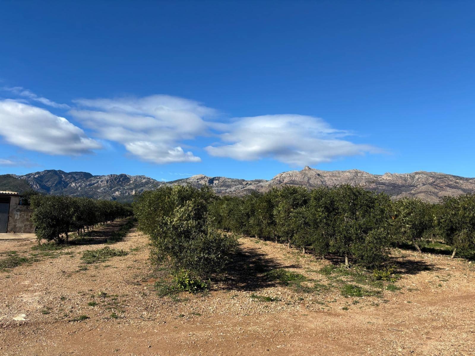 1 soveværelse Finca/Landehus til salg i Xerta - € 300.000 (Ref: 9571401)