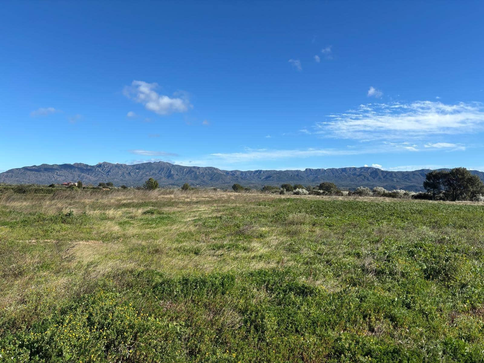 1 soveværelse Finca/Landehus til salg i Xerta - € 300.000 (Ref: 9571401)